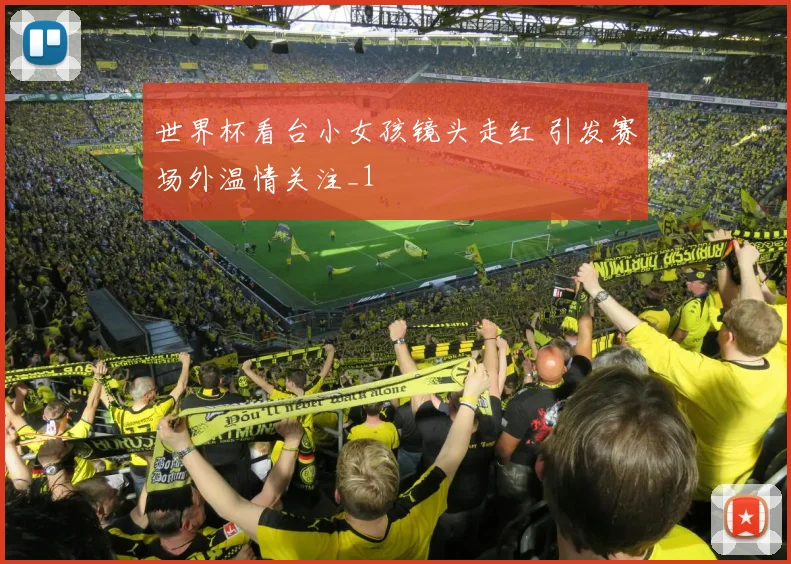 世界杯看台小女孩镜头走红 引发赛场外温情关注_1